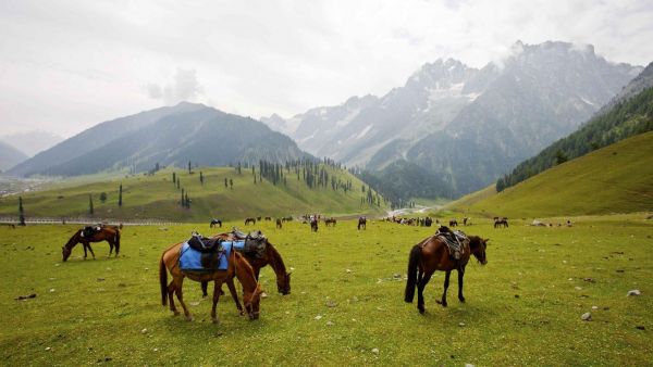 黄建忠-喀什米尔、拉达克、印度风光15日 | 创意星球–星球国际旅行社